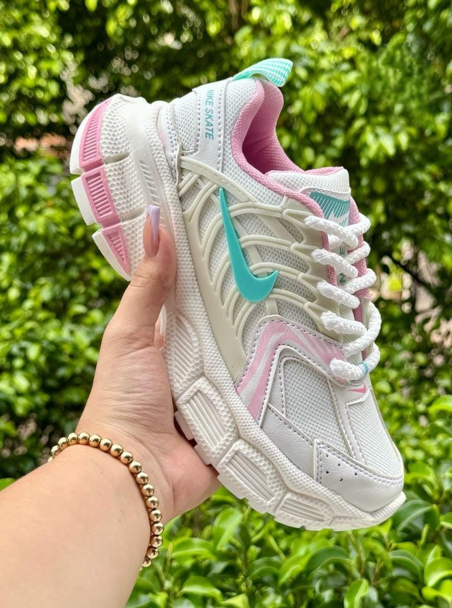 Tenis Nike Skate Deportivos